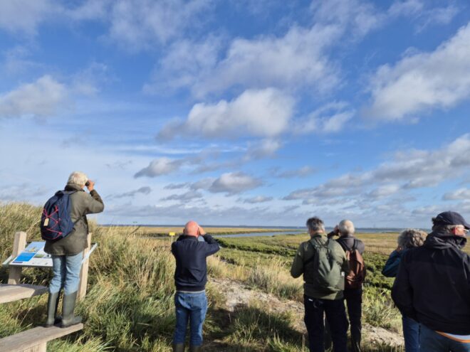 Alle activiteiten van de Vogelwerkgroep staan op www.bevelanden.knnv.nl/agenda