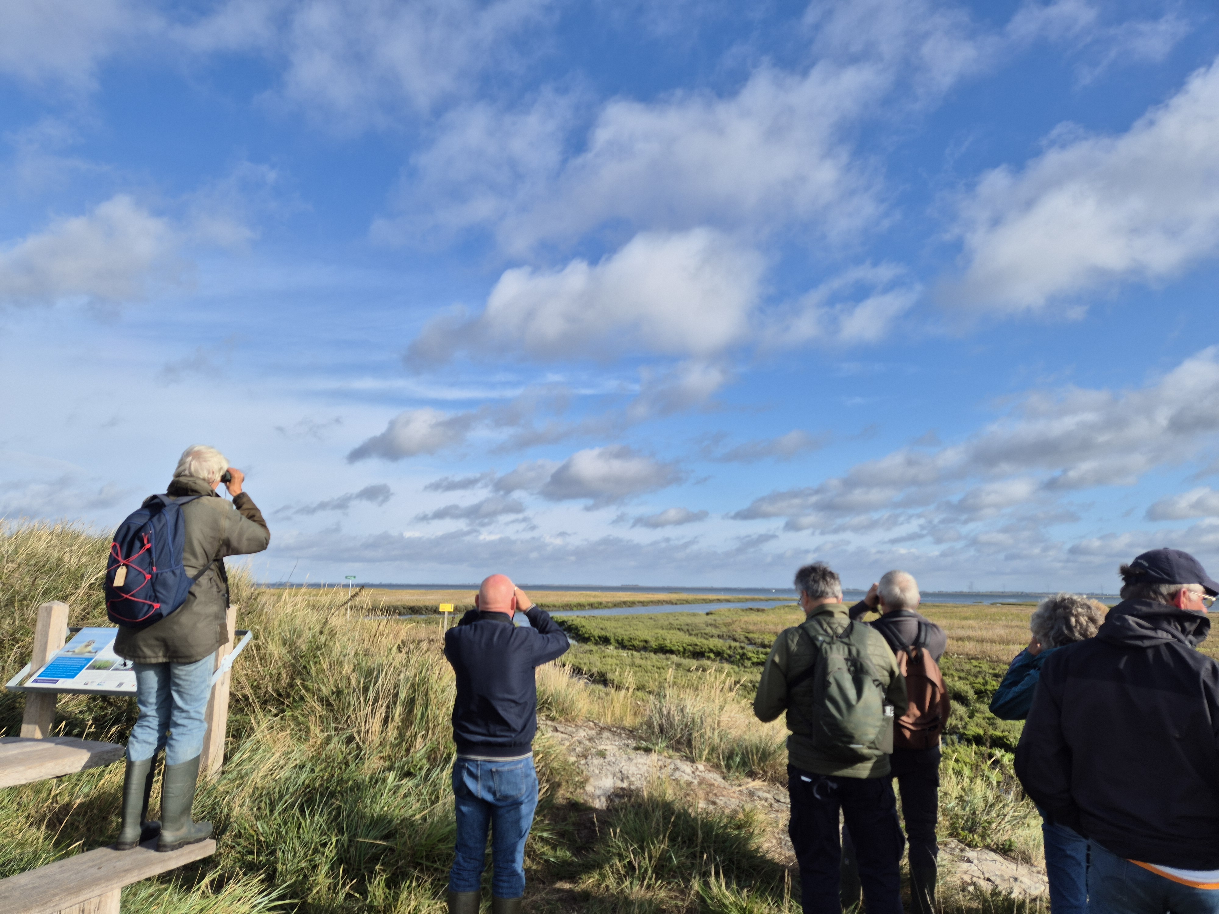 Alle activiteiten van de Vogelwerkgroep staan op www.bevelanden.knnv.nl/agenda